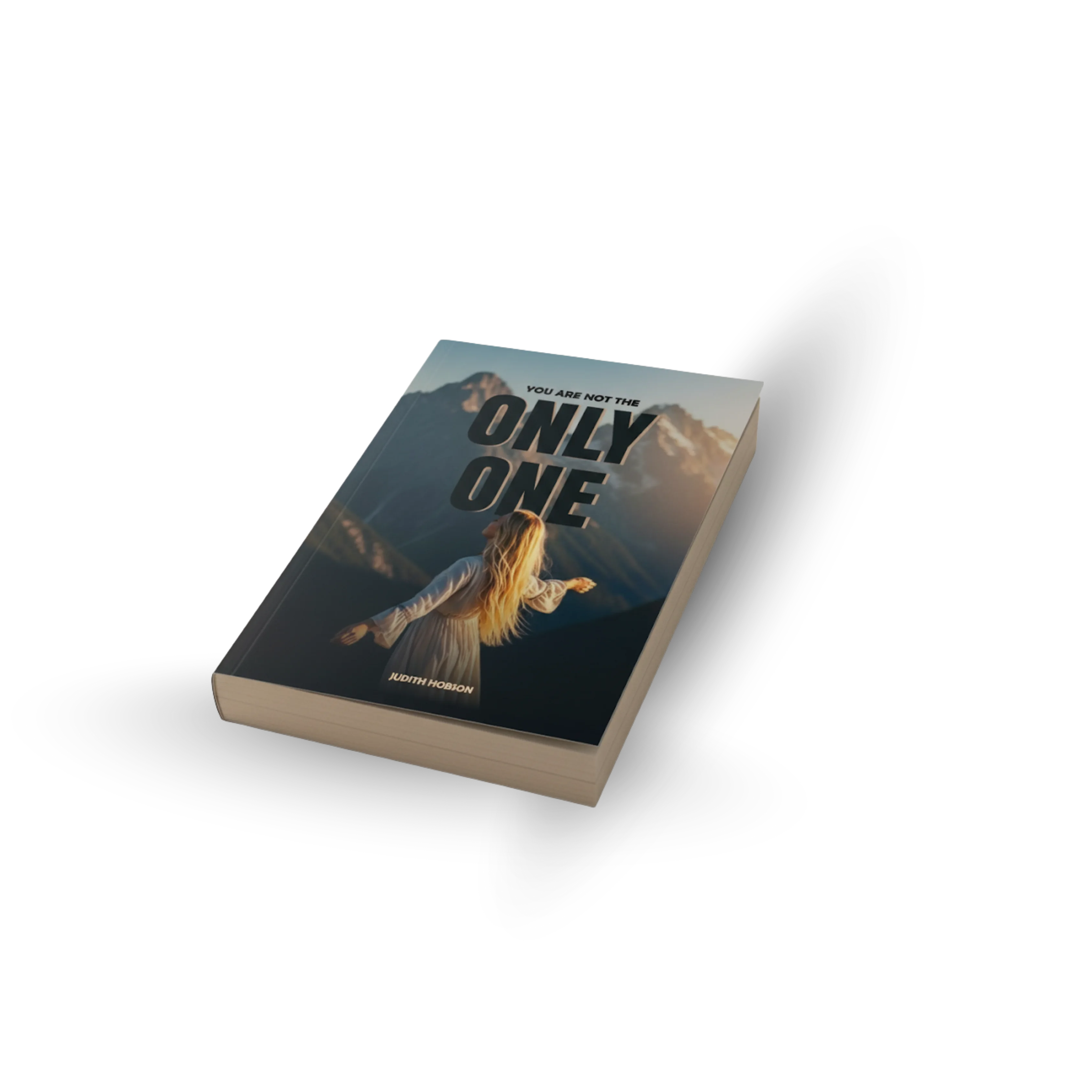 3D view of the book You are not the only one