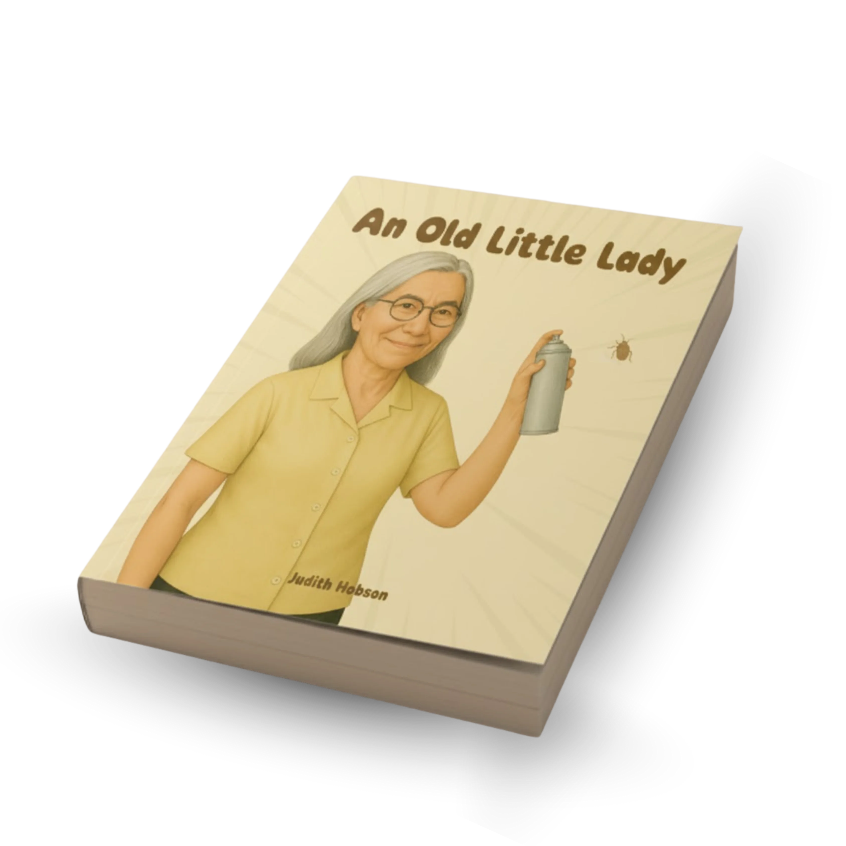 3D view of the book An Old Little Lady